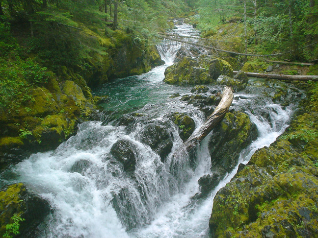 opal-creek2.jpg